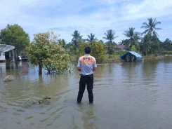 Perkembangan Situasi dan Penanganan Bencana Tanggal 3 Februari 2025